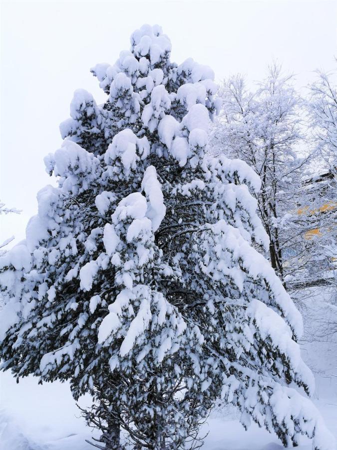 Apartment Tröster Bad Kleinkirchheim